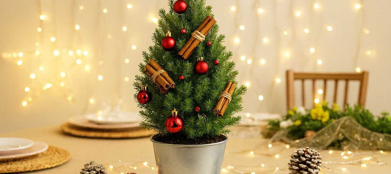 Animation Décore Ton Mini Sapin de Noël pour votre événemement Do It Yourself - Mini sapin décoré